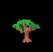 Tree Version 3 (Smoothed out 2) (Cropped).png